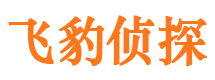 仙游市调查公司